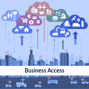 Business Access