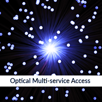 Optical Multi-service access