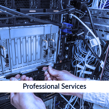 Professional Services